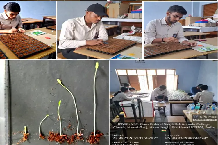 Study of seed germination kinetics and morphometric properties of nine F1 popular varieties of Cucumis sativus under CRD widely cultivated by growers of Hazaribag